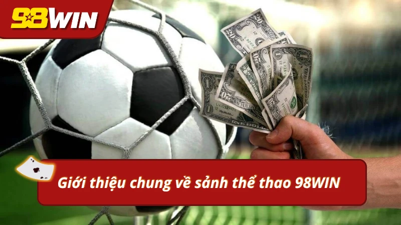 Điểm đến lý tưởng của những ai ưa thích cá độ thể thao